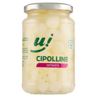 CIPOLLINE