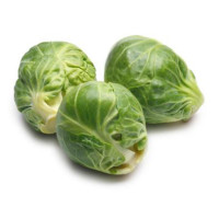 CAVOLINI BRUXELLES