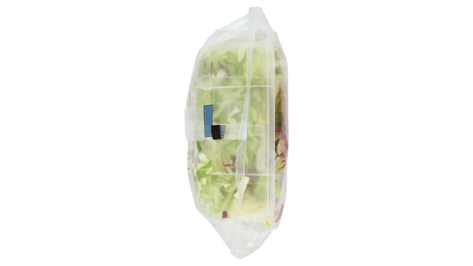 Bonduelle Carta delle Insalate Ricetta Gustosa