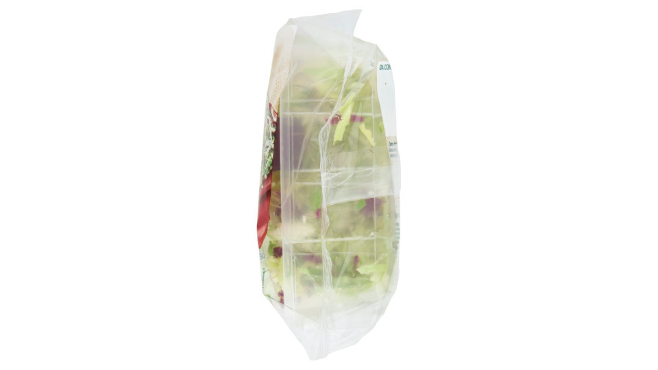 Bonduelle Carta delle Insalate Ricetta Gustosa