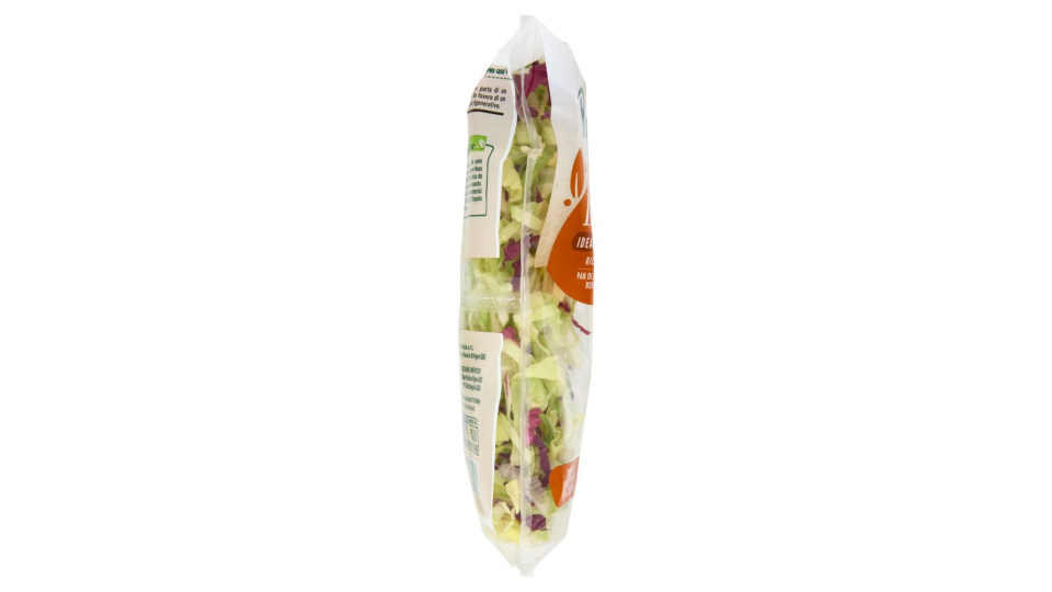 Bonduelle Carta delle Insalate Ricetta Deliziosa