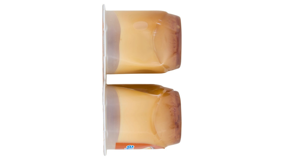 Danette Crème Caramel