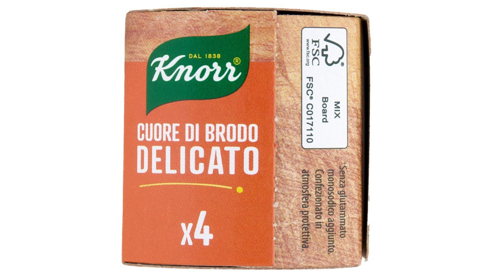 Knorr Cuore di Brodo Delicato