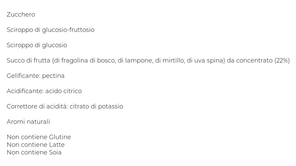 Dufour Big Frut Gelee Fragolina di Bosco, Mirtillo, Lampone, Uva Spina