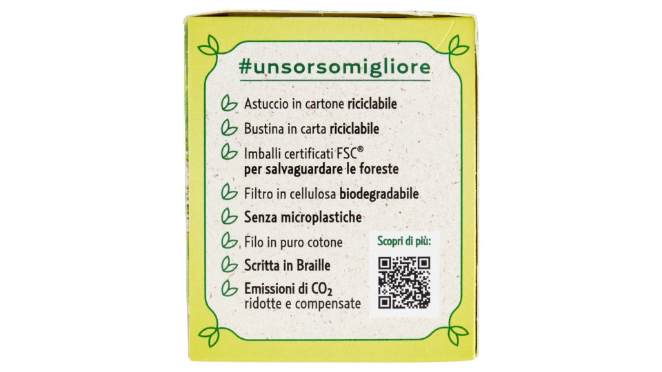 Pompadour Melissa per infuso