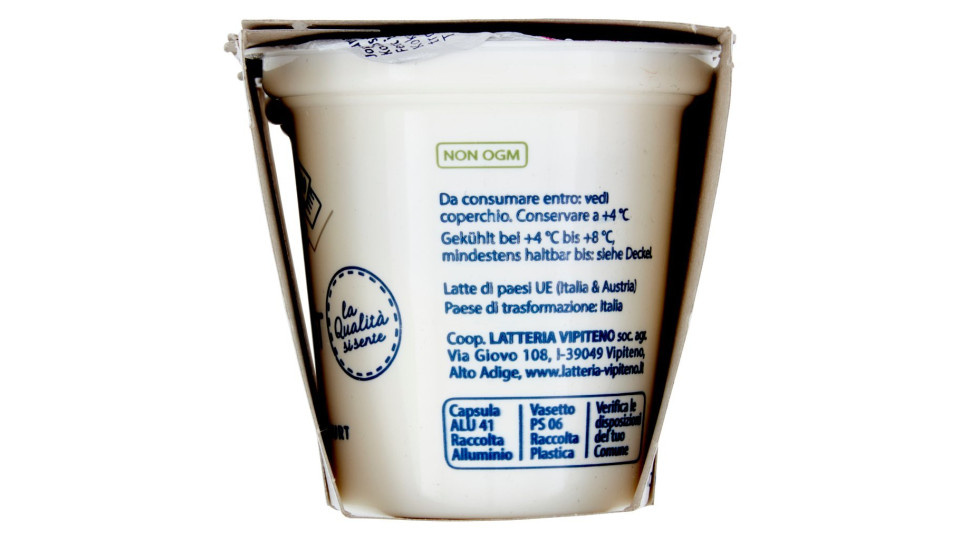 Sterzing Vipiteno Yogurt Cocco