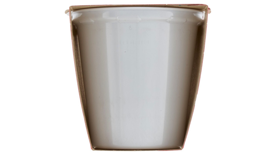 Carrefour Bio Yogurt bianco Intero demeter