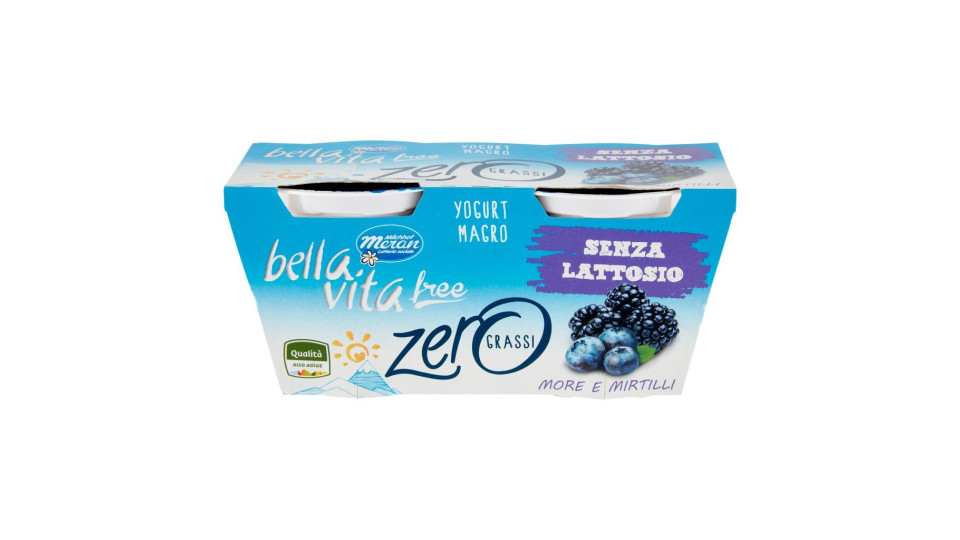 Bella Vita free zero grassi Yogurt Magro More e Mirtilli