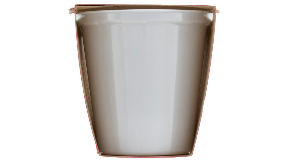 Latterie Friulane Yogurt Intero Bianco