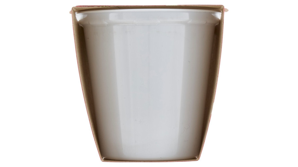 Latterie Friulane Yogurt Limone in pezzi