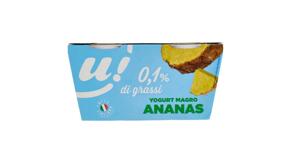 Lattebusche Yogurt magro all'ananas