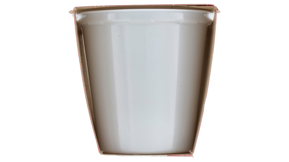 Mukki solo da latte 100% toscano yogurt intero alla Fragola cremoso