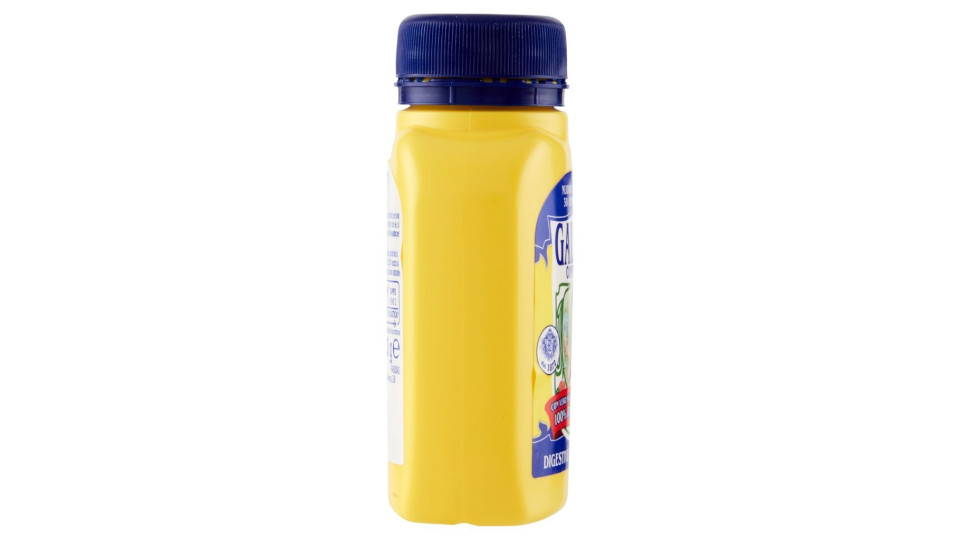 Galeffi Compresse digestive e dissetanti