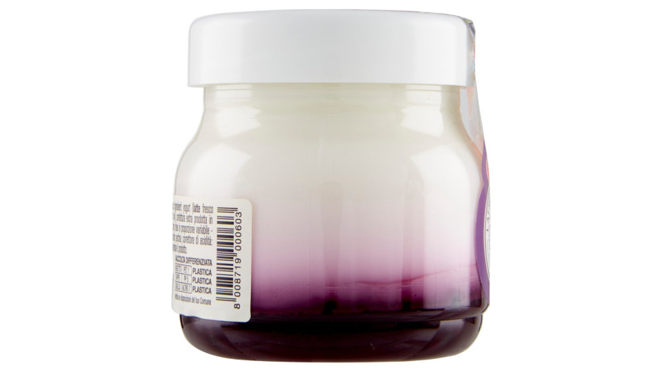 Alpiyò Valtellina Yogurt di Montagna con Confettura Extra di Frutti di Bosco