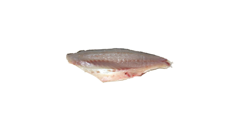 Filetto di branzino