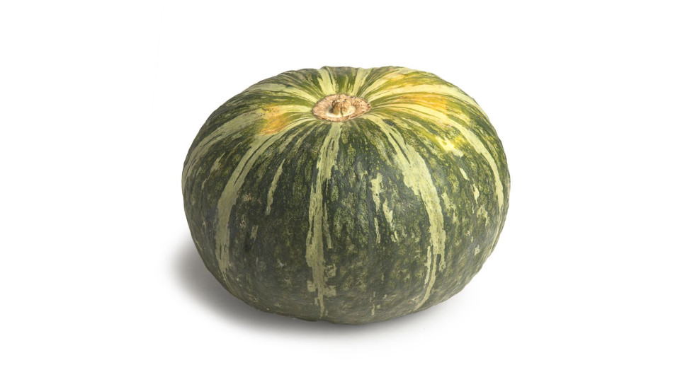 Zucca, 800-1200g