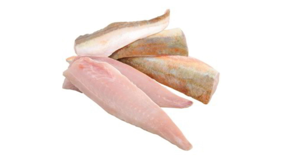 Gallinella Filetto