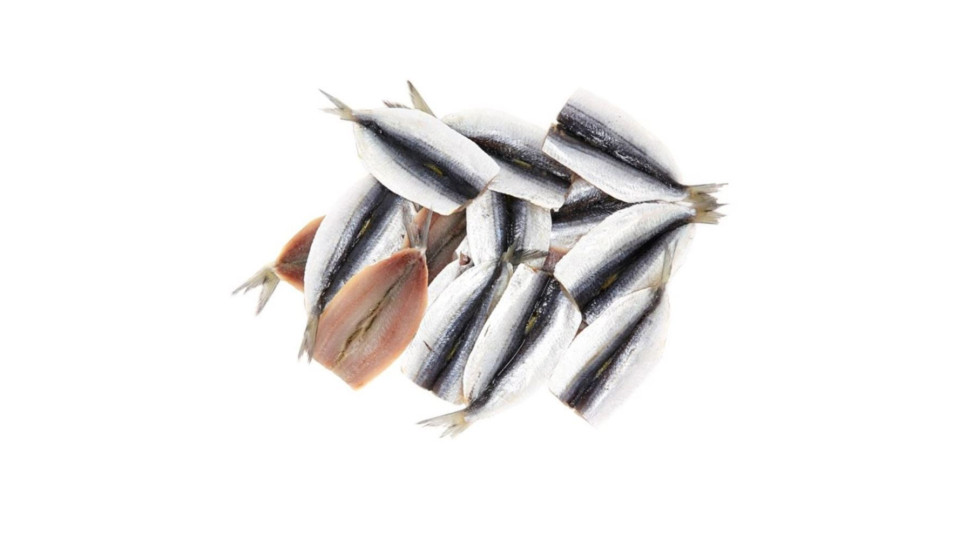 Filetto di Sardina