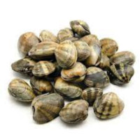 Vongole Veraci S00 g