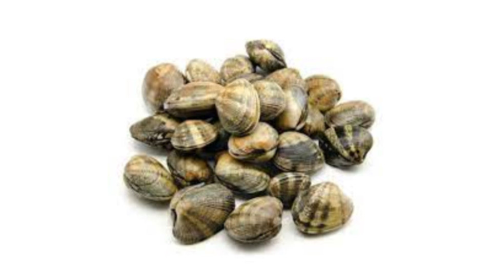 Vongole Veraci S00 g