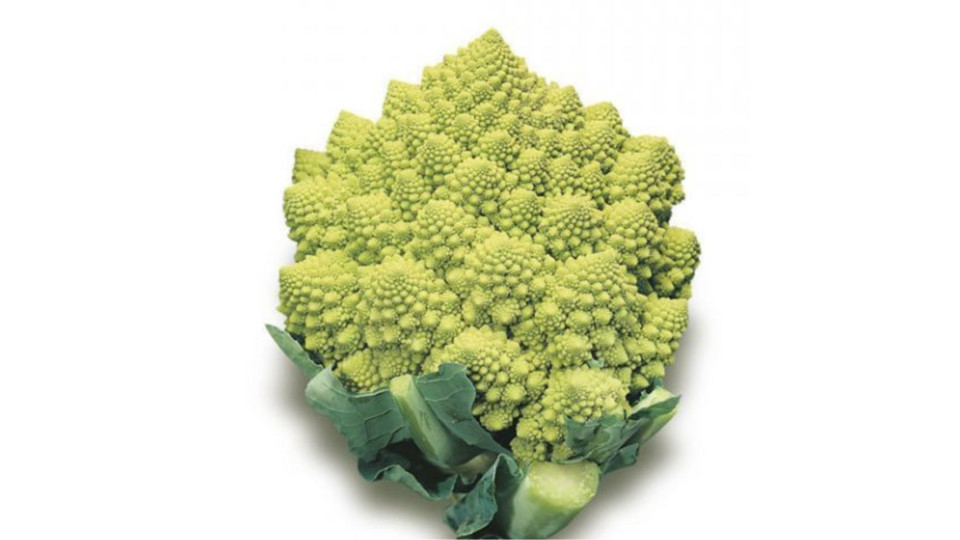 Cavolo Romanesco Bio