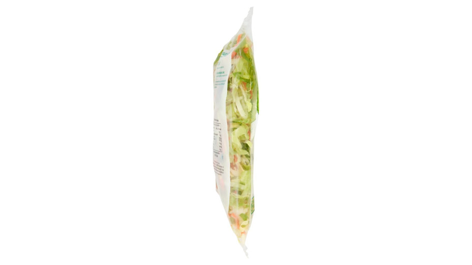Pan di Zucchero e Carote