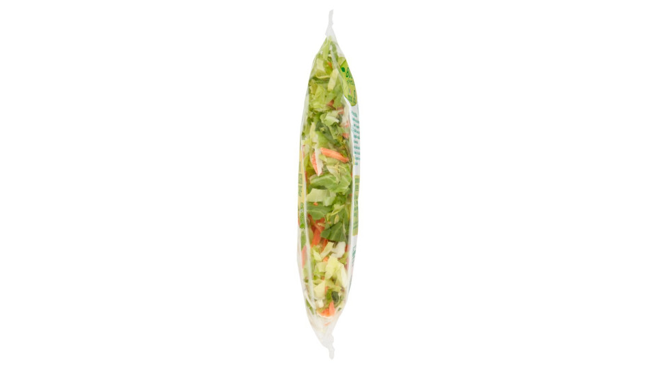 Pan di Zucchero e Carote