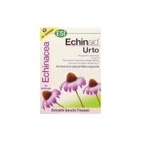 Esi Echinaid Urto