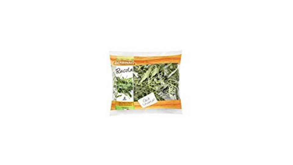 Zerbinati Rucola