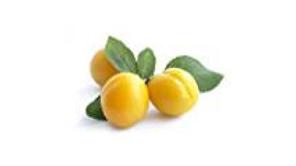 SUSINA GIALLA GOCCIA D'ORO 600-1000GR