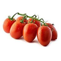 POMODORO DATTERINO confezionato il Viaggiator Goloso