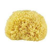 CROLL & DENECKE P100 - Spugna naturale dal Mar Mediterraneo, qualità premium, dimensione