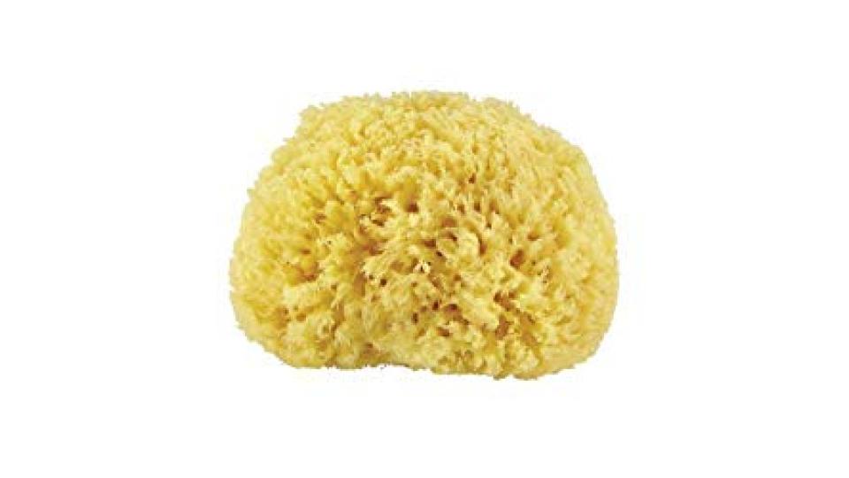 CROLL & DENECKE P100 - Spugna naturale dal Mar Mediterraneo, qualità premium, dimensione
