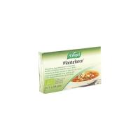 Vogel - Plantaforce Dadi Da Brodo Vegetale Bio Con Sale Marino