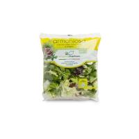Insalata Armoniosa Buongiorno Freschezza confezionata