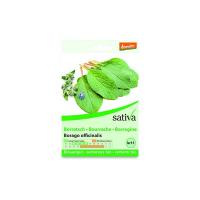 Borragine “Borrago officinalis” Sativa