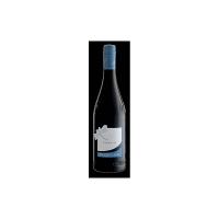 Merlot del Veneto IGT senza solfiti Pizzolato