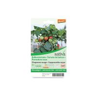 Pomodoro nano “Cappuccetto rosso” Sativa