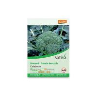 Cavolo broccolo calabrese Sativa
