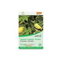 Zucchina “cucurbita pepo” Sativa