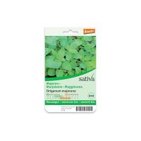 Maggiorana “Origanum majorana” Sativa