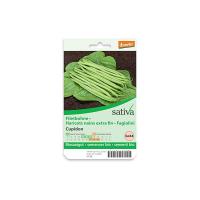 Fagiolino nano Cupidon Sativa