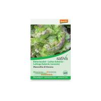 Lattuga batavia “Maravilla di verano” Sativa