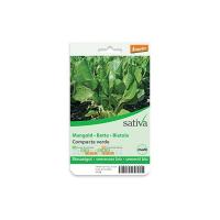 Bietola compacta verde Sativa
