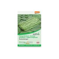 Fagiolini rampicanti “Phaseolus vulgaris” Sativa