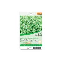Basilico greco Sativa