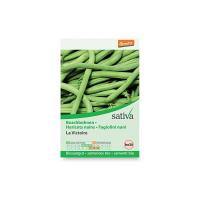 Fagiolini nani “phaseolus vulgaris” Sativa
