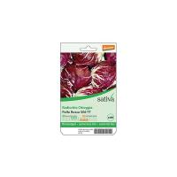 Radicchio chioggia “Palla Rossa” Sativa