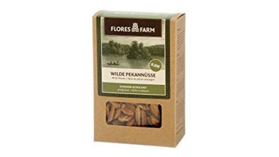 Noci pecan selvatiche