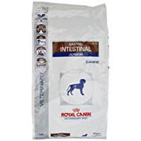 Royal Canin Cibo Secco per Cane Gastro Intestinal